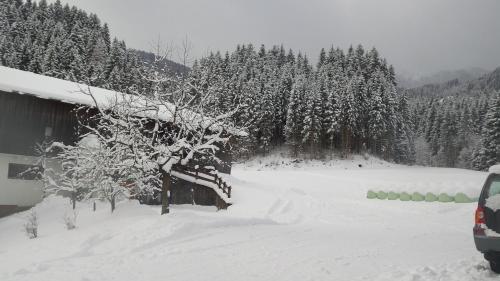 un patio cubierto de nieve con una casa y árboles en Pension Schwaighof, en Oberau