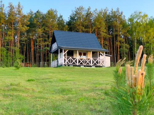 a small house with a blue roof in a field at Prosportówek - Bronków - Domek nad Jeziorem w Otoczeniu Pięknych Lasów in Bronków