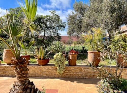 Giardino di Maison Marocaine Agadir