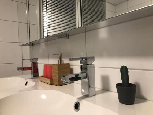 a bathroom with a sink and a mirror and a cactus at INN JOY Apartments - Rorschach mit Panoramasicht in Rorschach