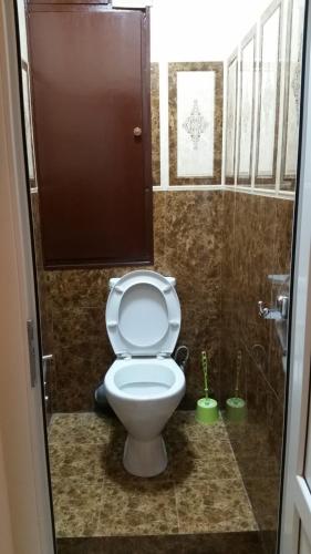 a bathroom with a white toilet in a stall at Natalia's heaven in Yerevan, Armenia in Yerevan