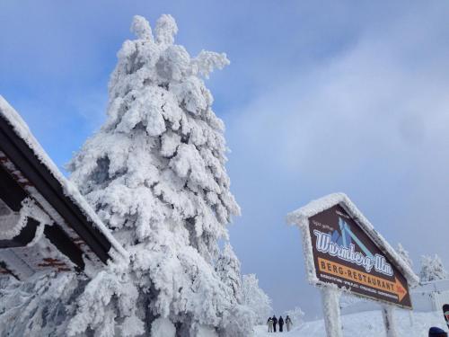 a snow covered christmas tree with a sign next to it at Hotel & Restaurant Druidenstein in Trautenstein