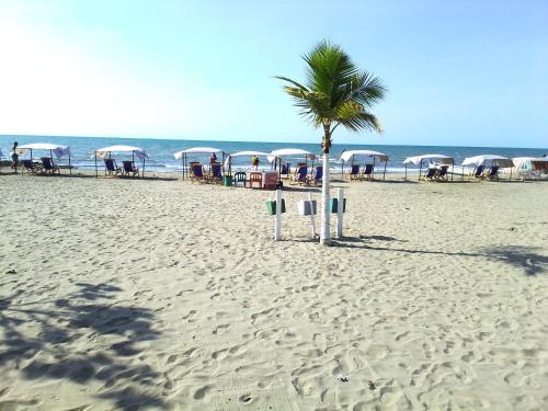 托盧的住宿－Hotel Montecarlo Beach，沙滩上的棕榈树,带桌子和遮阳伞