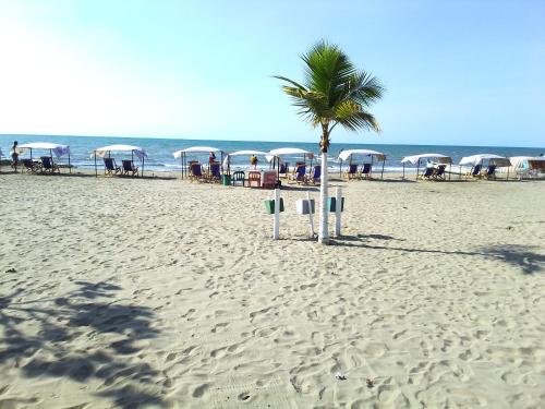 a palm tree on a sandy beach with tables and umbrellas at Hotel Montecarlo Beach in Tolú