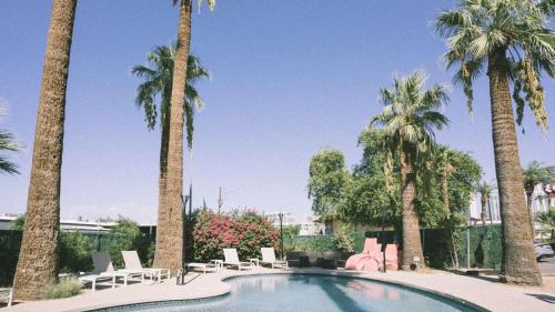 a swimming pool with chairs and palm trees at Egyptian Motor Hotel BW Signature Collection in Phoenix