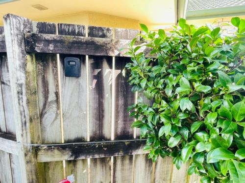a wooden fence with a plant next to it at Habour View - Tauranga Central in Tauranga