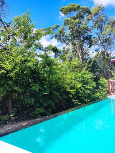 una piscina con árboles en el fondo en Pousada Aroeira en Itaúnas