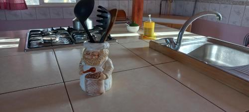 Dapur atau dapur kecil di Paihuano