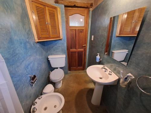 a bathroom with a toilet and a sink and a mirror at La Mungana in Cafayate