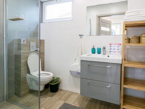 a bathroom with a toilet and a sink and a mirror at Spacious holiday houses with air conditioning, swimming pool, sauna, Niechorze in Niechorze