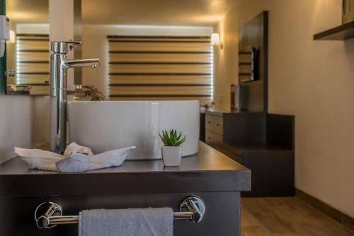 a bathroom with a counter with a sink at Hotel Imperial Luxury in San Martín Texmelucan de Labastida