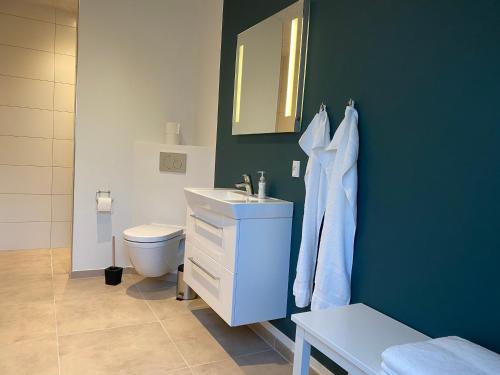 a bathroom with a sink and a toilet and a mirror at Nyopført luksusværelse i naturskønne og rolige omgivelser in Branderup