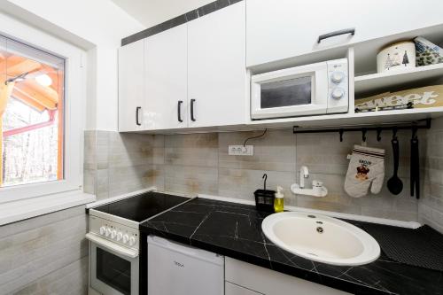 a kitchen with a sink and a microwave at Vila Šišarka Divčibare CENTAR in Divčibare