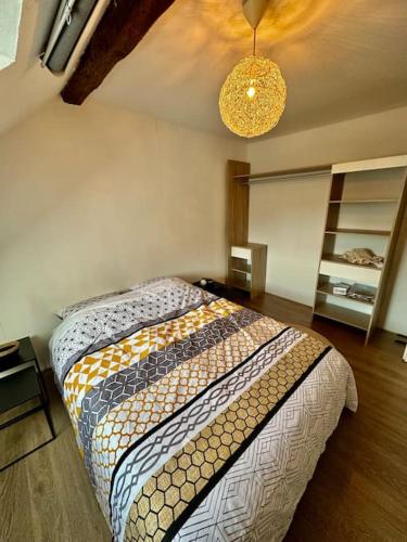 een slaapkamer met een bed in een kamer bij Logement entier au coeur de Strasbourg in Straatsburg