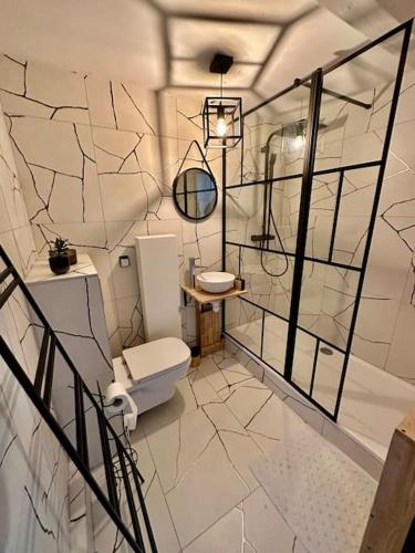een badkamer met een toilet en een wastafel bij Logement entier au coeur de Strasbourg in Straatsburg