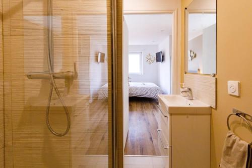 une salle de bain avec douche et lavabo dans l'établissement Joli appartement, Le Bouchon Rémois, centre ville, à Reims