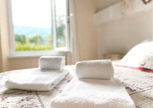 duas toalhas sentadas em cima de uma cama com uma janela em Hôtel Le Dauphin em Villard-de-Lans