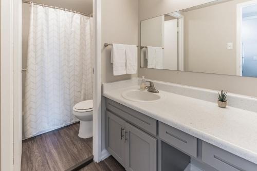 a bathroom with a sink and a toilet and a mirror at Bargain downtown Memphis apartment w amenities in Memphis