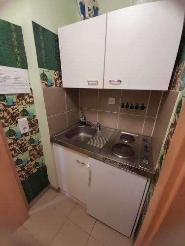 a small kitchen with a sink and white cabinets at Monteurunterkunft Haus Barbara Pirmasens in Pirmasens