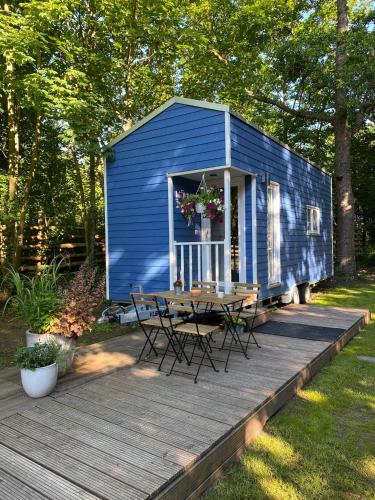 un cobertizo azul con una mesa y sillas en una terraza en Tiny House Möhne im PIER9 Tiny House Hotel, en Hamm