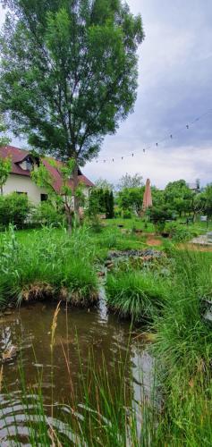 a small stream in a field with a tree at Forest Inn in Izvorani