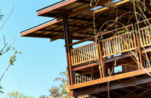 a tree house being constructed with the sky in the background at Pan's farm แบ่งปันฟาร์ม in Ban San Phaya Loei Luang