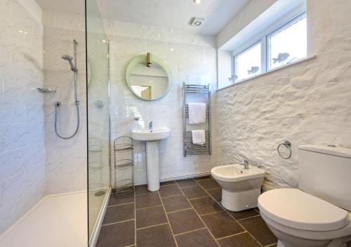 a bathroom with a toilet and a sink and a shower at The Shippons in Abersoch