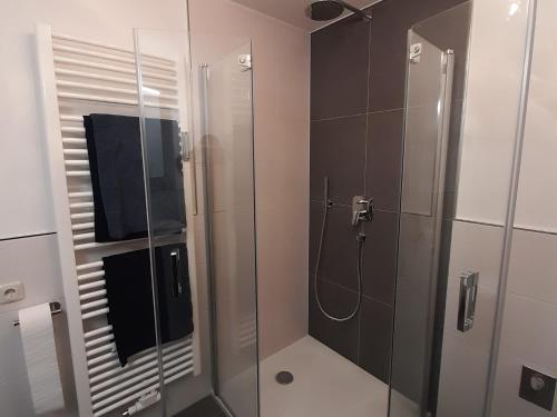 a bathroom with a shower with a glass door at Ferienwohnung Paul in Bad Reichenhall