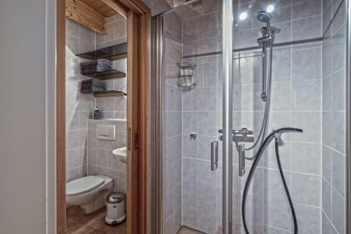 a bathroom with a shower with a toilet and a sink at Ferienhaus Rothaarblick in Schmallenberg