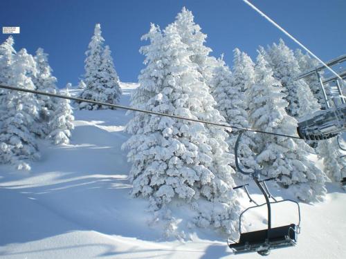 a ski lift with snow covered trees at Marie Luise, Landhaus in Reith bei Kitzbühel