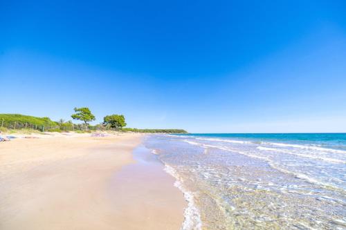 Camping Las Palmeras