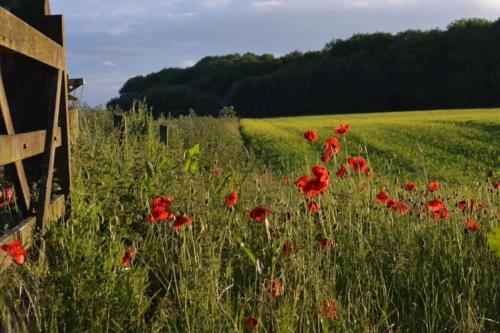 Un jardín fuera de Relaxing Retreat on the edge of the Cotswolds
