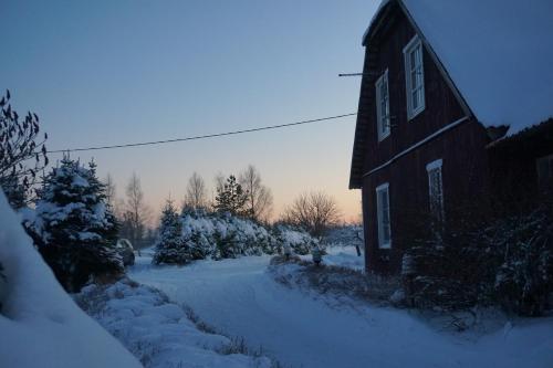 an old house in the snow with snow covered trees at Järve Talu Puhkemaja in Otepää