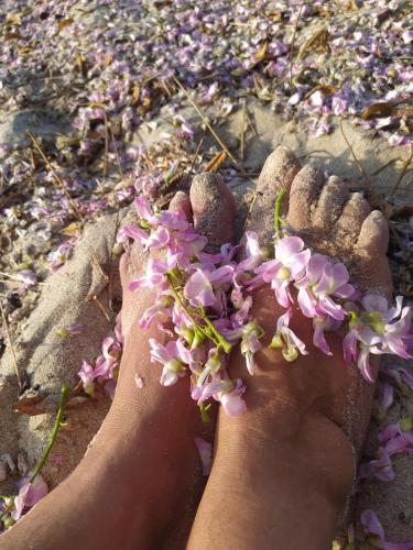 a person with their feet in the sand with flowers at Los Versos de Zaira in San Onofre