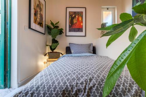 a bedroom with a bed and a plant at Arty Vintage Townhouse with Rooftop Shower & Sun Loungers in Olhão