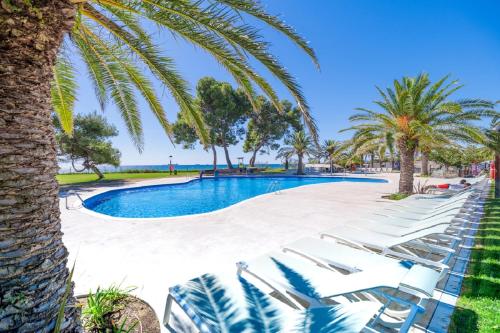 una piscina con tumbonas y palmeras en Camping Las Palmeras en Tarragona