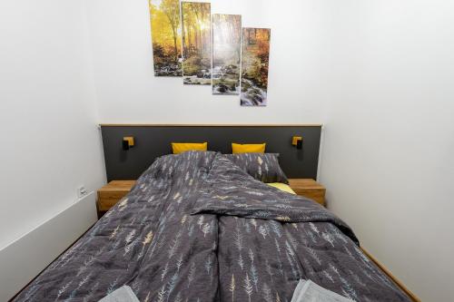 Una cama o camas en una habitación de Apartman Šišarka Divčibare