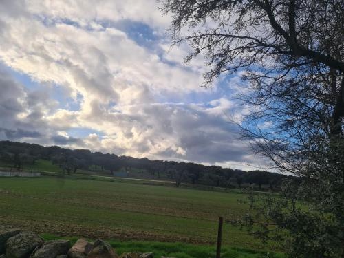 a green field with a cloudy sky and trees at CASA RURAL PALACIO CONDE DE ALDANA con piscina entre encinares y dehesas in Terradillos