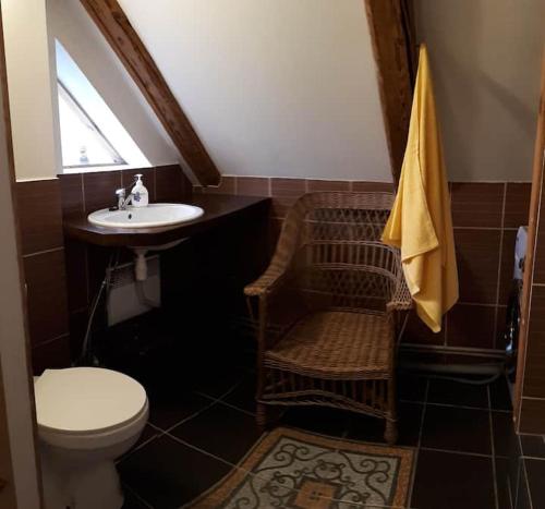 a bathroom with a sink and a toilet and a window at Amanda's apartment in Kuldīga