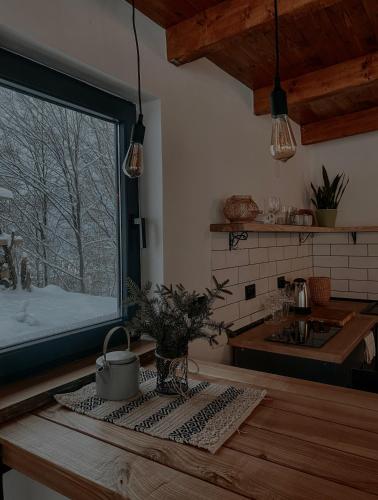 a kitchen with a counter with a sink and a window at Гірські будиночки in Zhdenievo