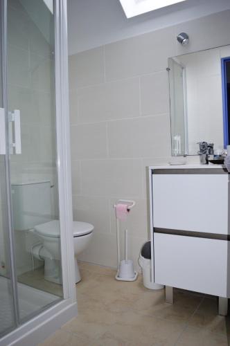 une salle de bain avec toilettes, lavabo et douche dans l'établissement Les volets bleus - duplex proche plage et centre, à Arromanches-les-Bains