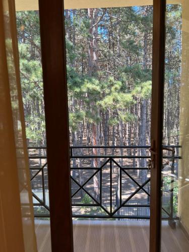 Gallery image of Hotel Surami in Surami