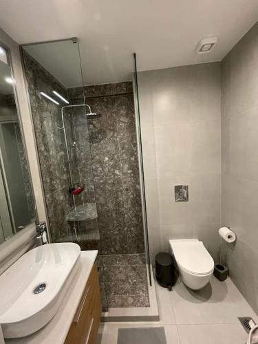ein Bad mit einer Dusche, einem Waschbecken und einem WC in der Unterkunft Niarchos apartment III in Athen