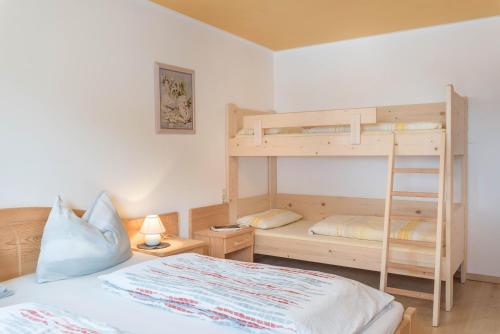 a bedroom with two bunk beds and a ladder at Huterhof Apt Tatschblick in Riobianco