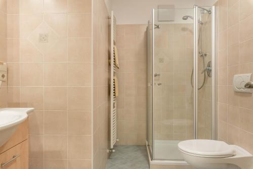 a bathroom with a shower and a toilet and a sink at Huterhof Apt Talblick in Riobianco