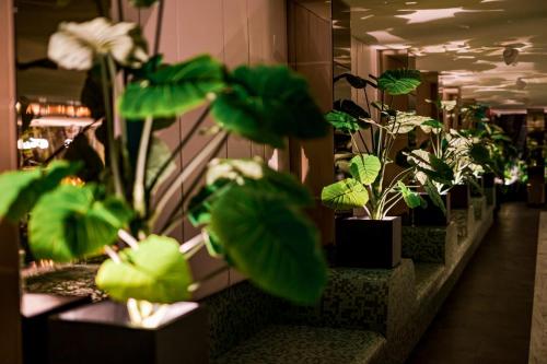 Φωτογραφία από το άλμπουμ του Hermanns Hotel & Spa Sibiu σε Σιμπίου