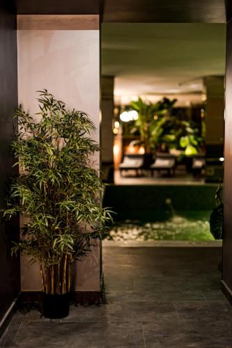 Κήπος έξω από το Hermanns Hotel & Spa Sibiu