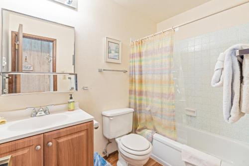a bathroom with a toilet and a sink and a shower at Angelhaus #300 in Durango Mountain Resort