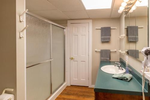 La salle de bains est pourvue d'un lavabo et d'une douche. dans l'établissement Creekside Lodge, à Franklin