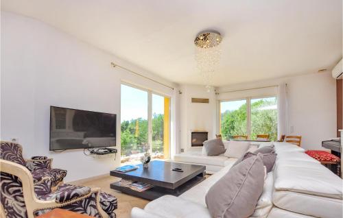 un salon avec un canapé blanc et une télévision dans l'établissement 3 Bedroom Stunning Home In Montauroux, à Montauroux